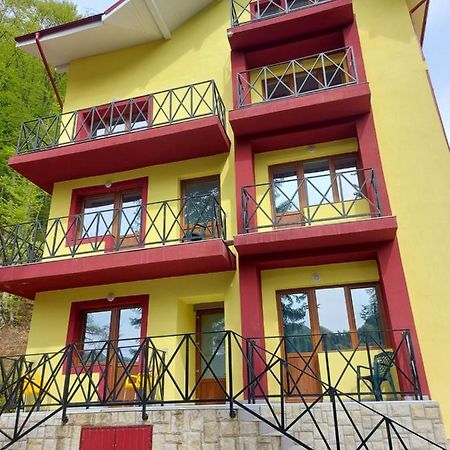 ホテルVila Ioana Slănic-Moldova エクステリア 写真