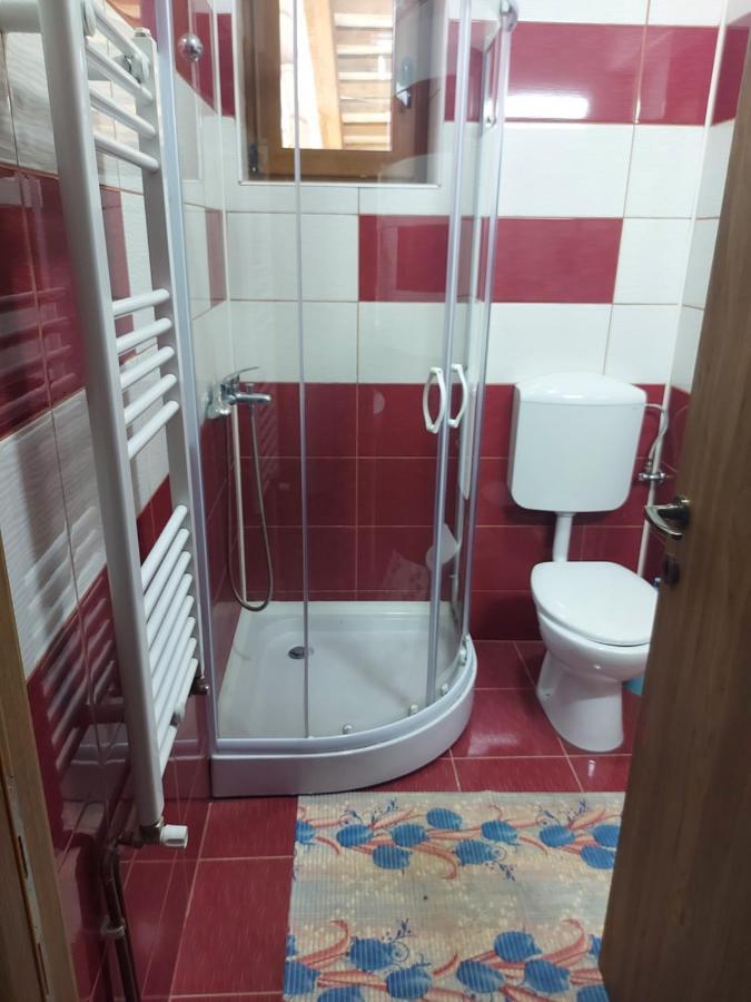 ホテルVila Ioana Slănic-Moldova エクステリア 写真
