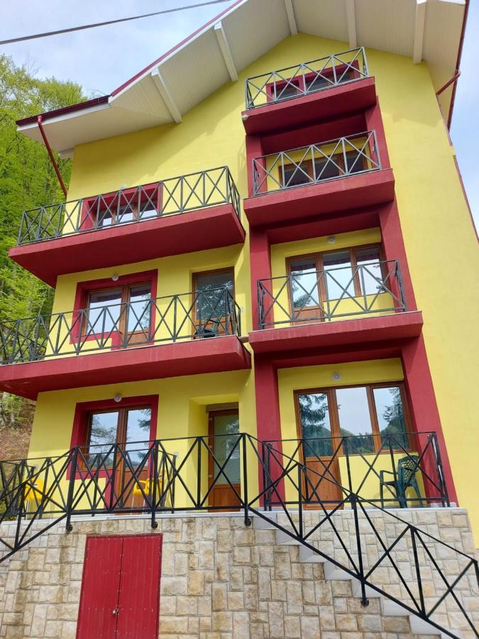ホテルVila Ioana Slănic-Moldova エクステリア 写真